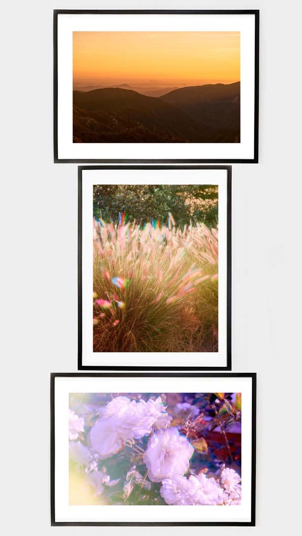 Image 5-1-19 at 4.30 PM (1)