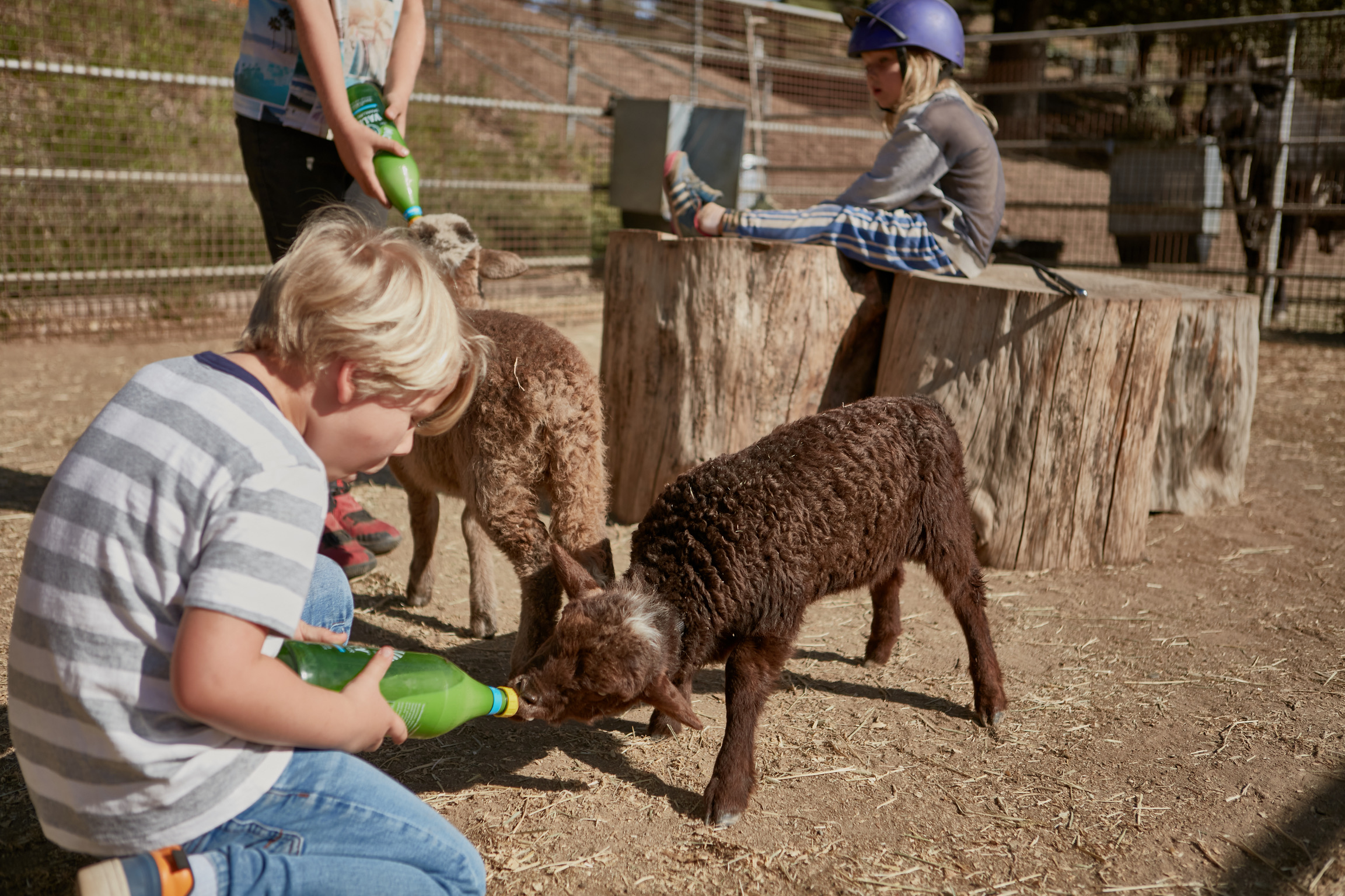 C05E405B-96BF-4F58-A679-48CF4A0CA150