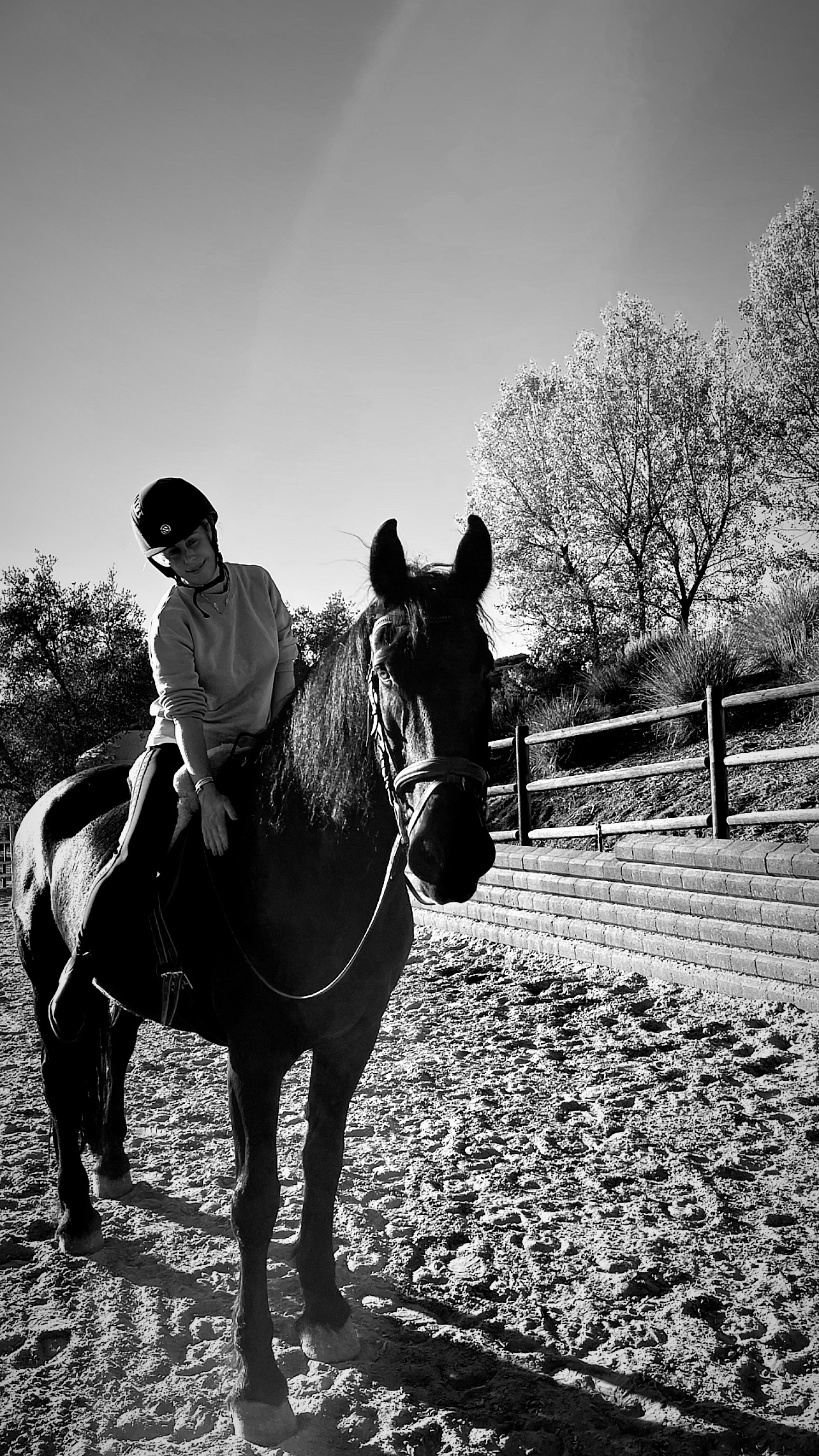 BD59C3E6-42C6-468B-8C3B-56D3982D8F16