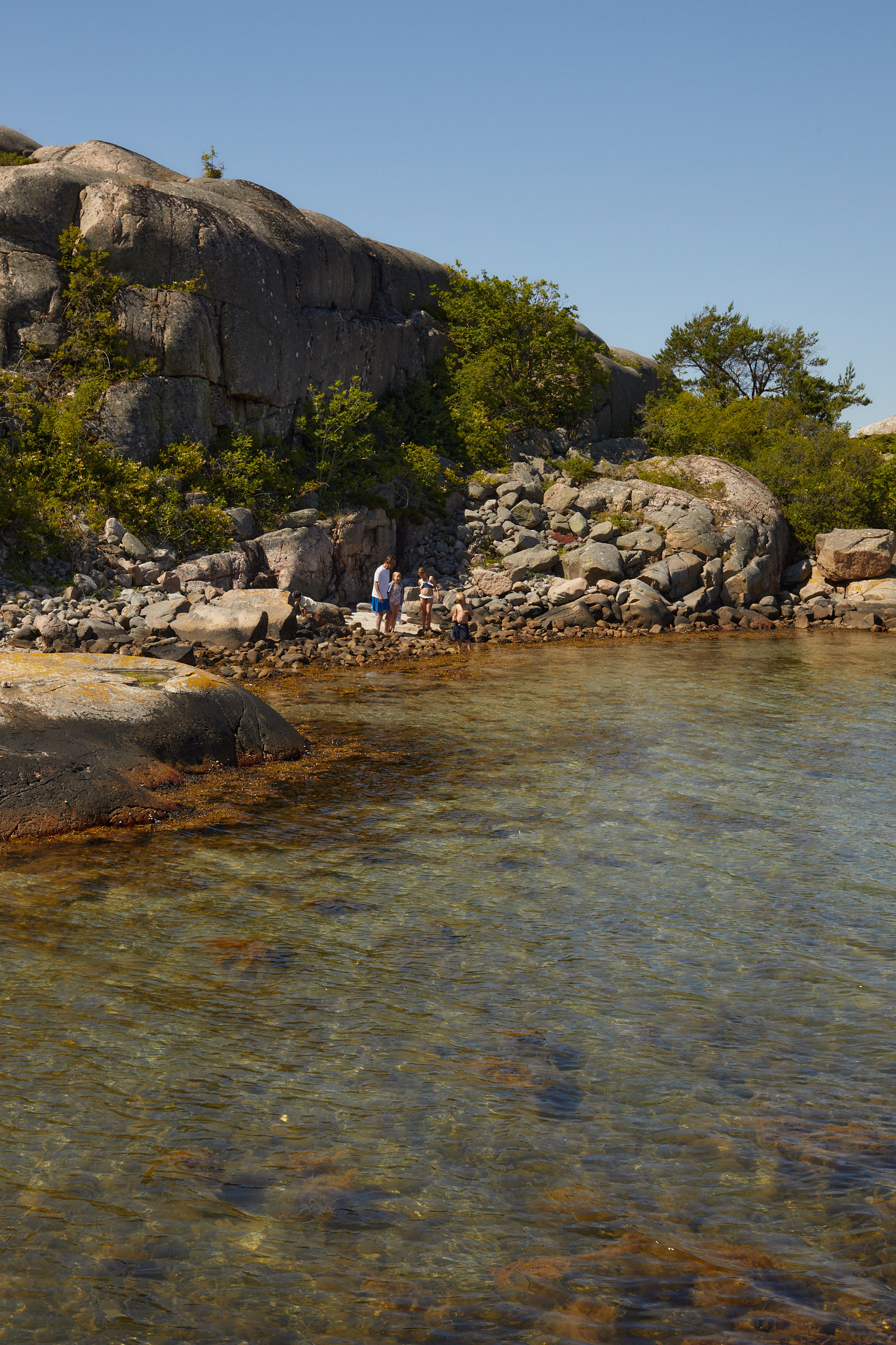 5C6C7495-967C-481D-A820-15CC2C4585C5