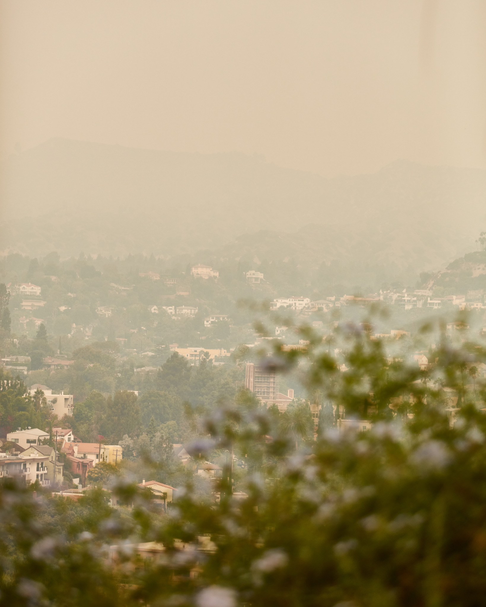 6FDDD9B7-37C8-4721-9BFA-692C9496F6F8