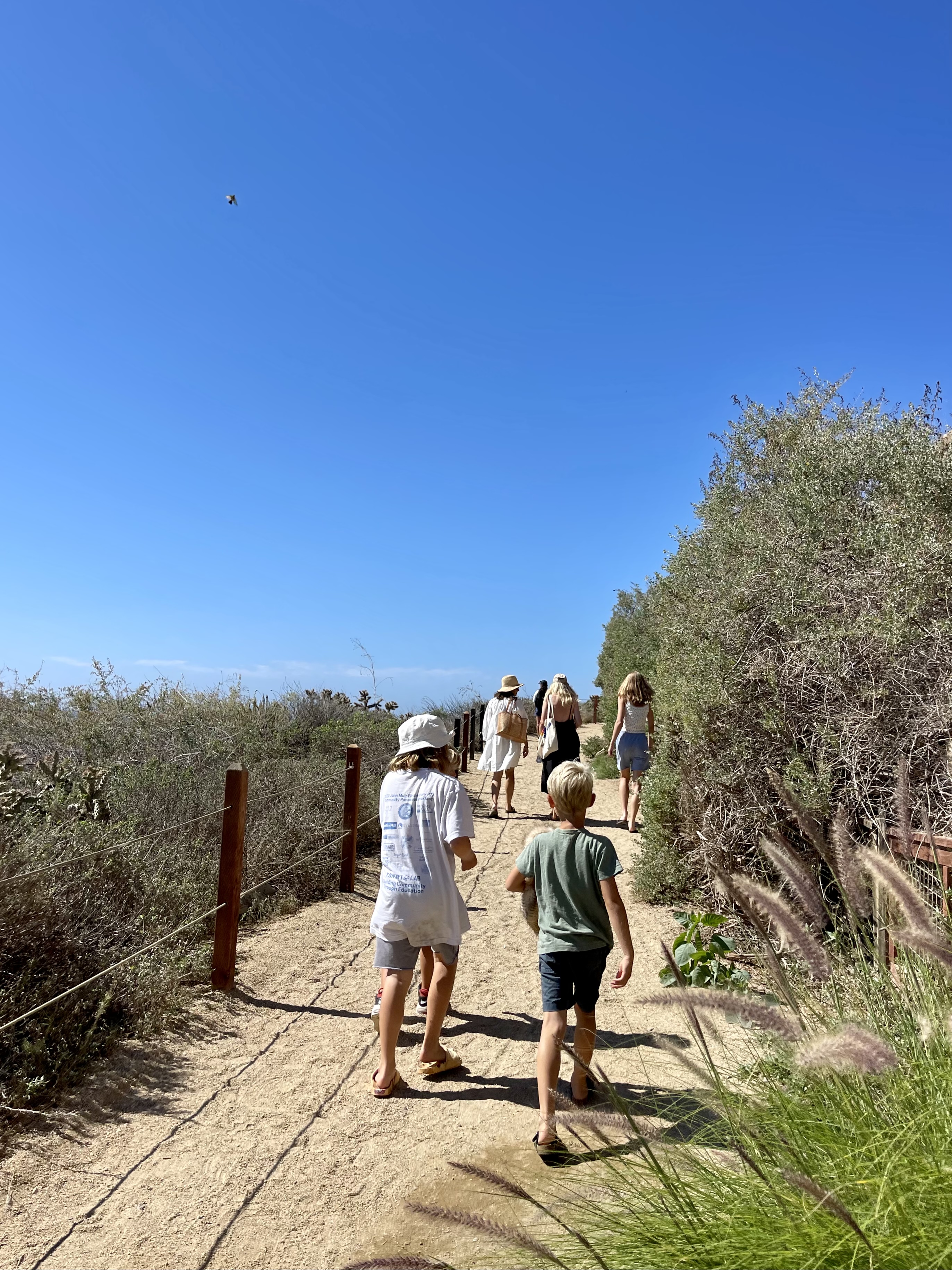 656CC9F0-4D13-4A2C-9FBF-26531A58A484