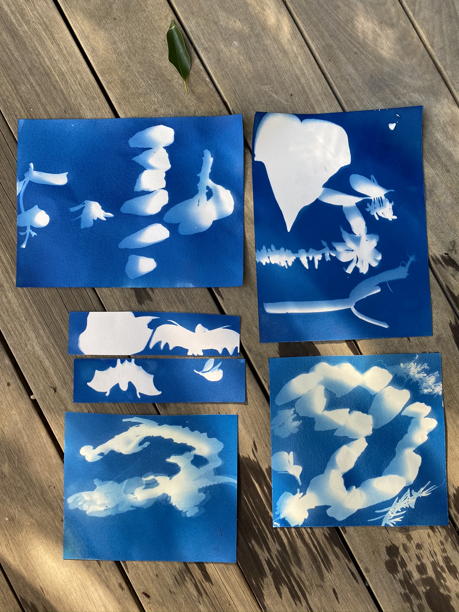 B56B5AE8-2E92-4B7C-987A-5D843D99A9CC