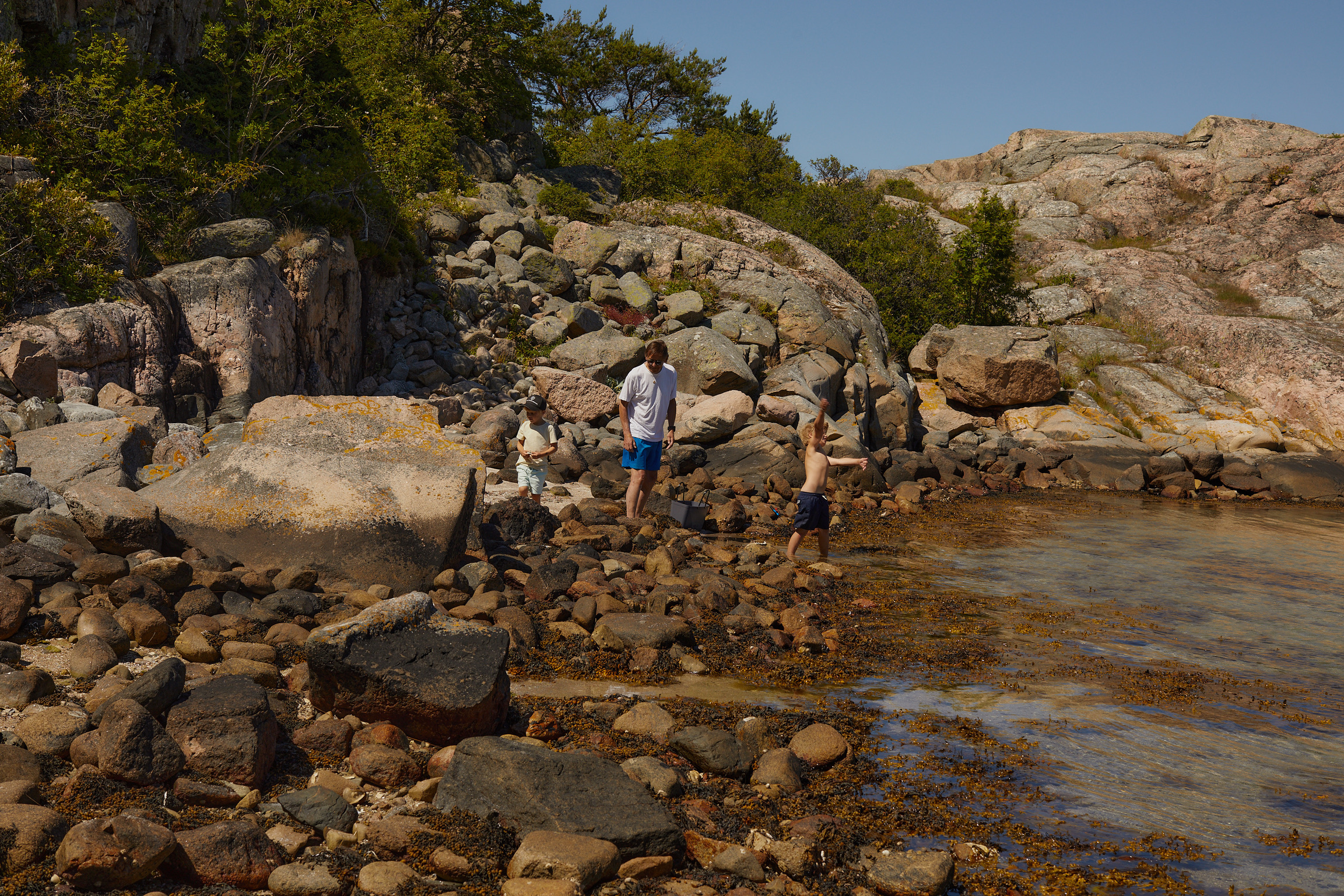 BD079B05-581A-4471-BA8C-5948DA6B139C