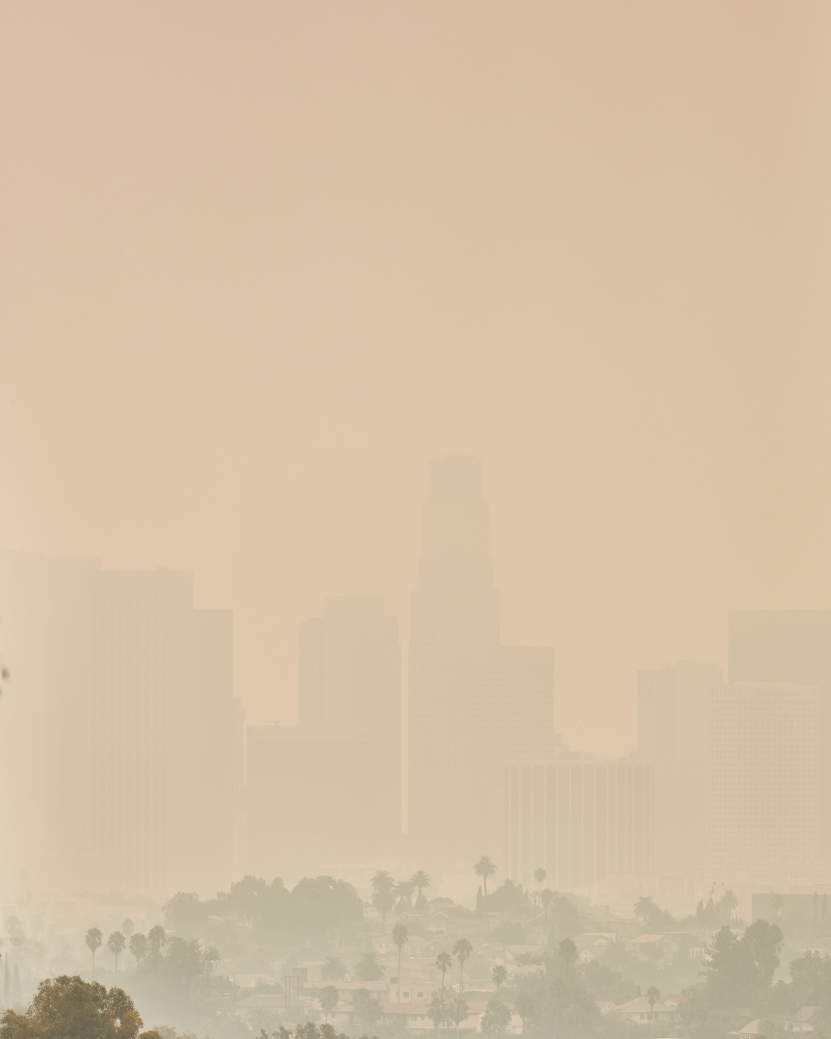 696C0E1B-190E-41D8-96E0-B55AD8DC5CAD