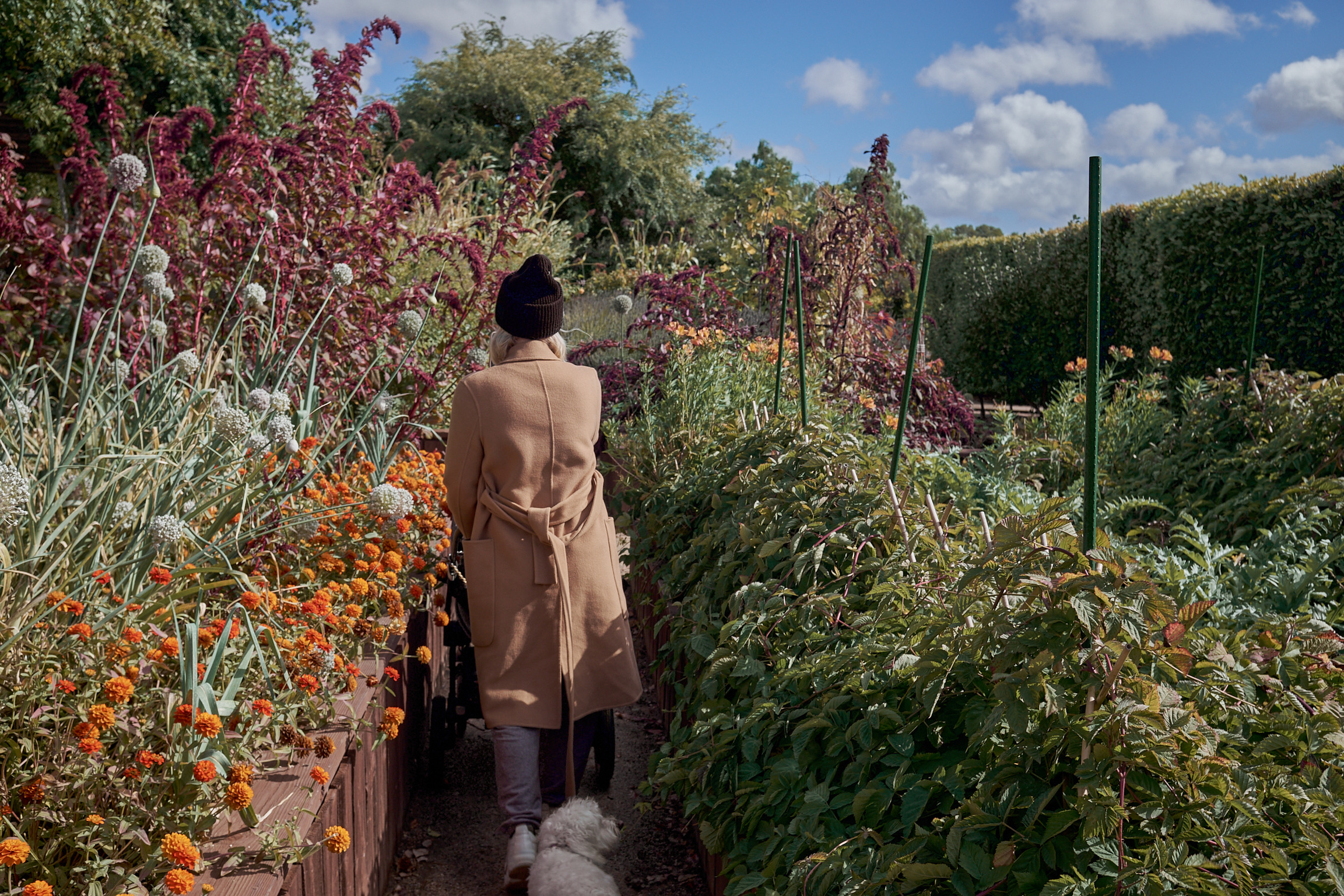 A5D7ACBA-147E-4943-A9EF-86258D0895B1