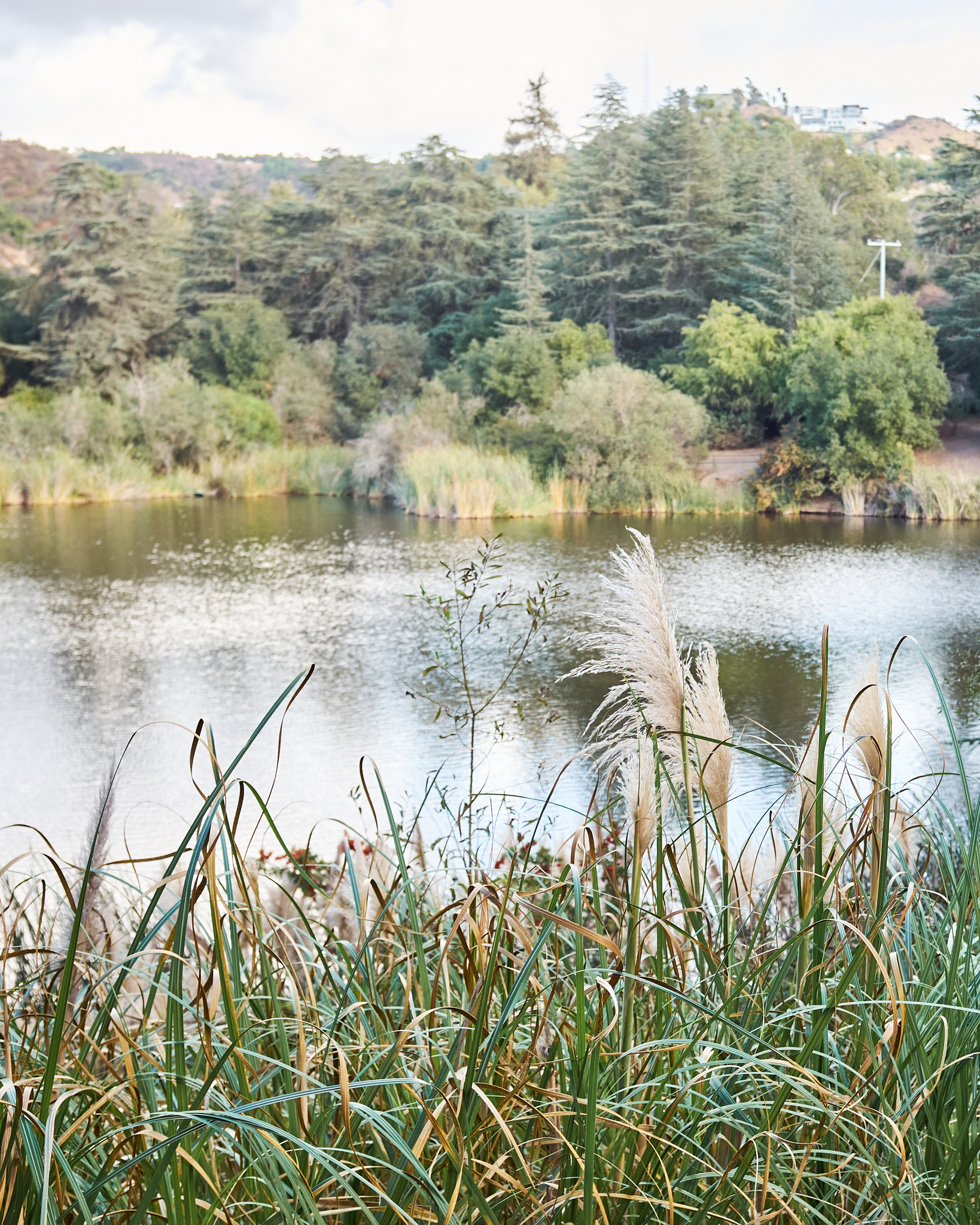 88740C8F-BECB-465F-B6BC-E79EEC0326B8