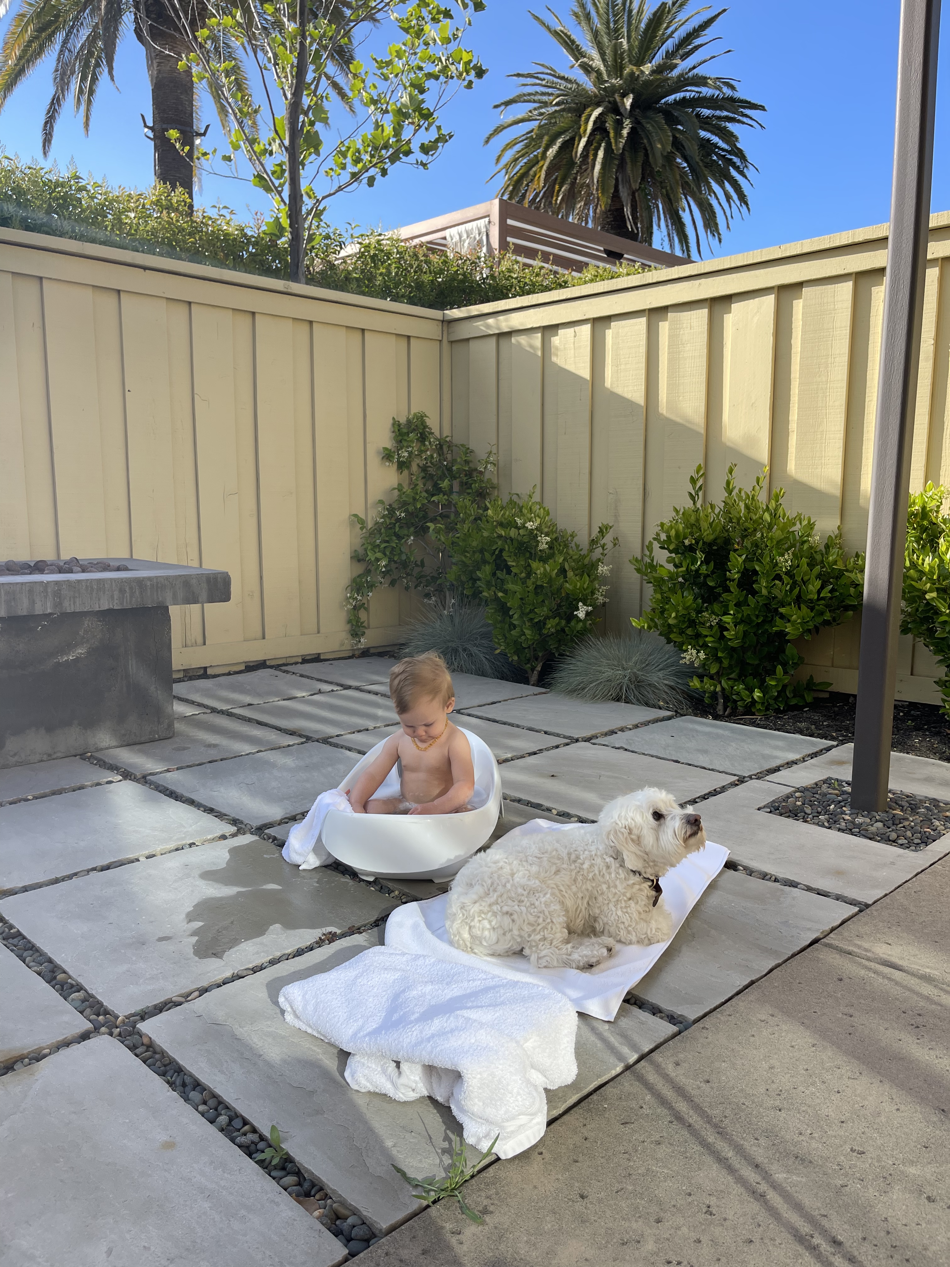 D18C987D-0C37-4C4F-BBE7-C54150649187