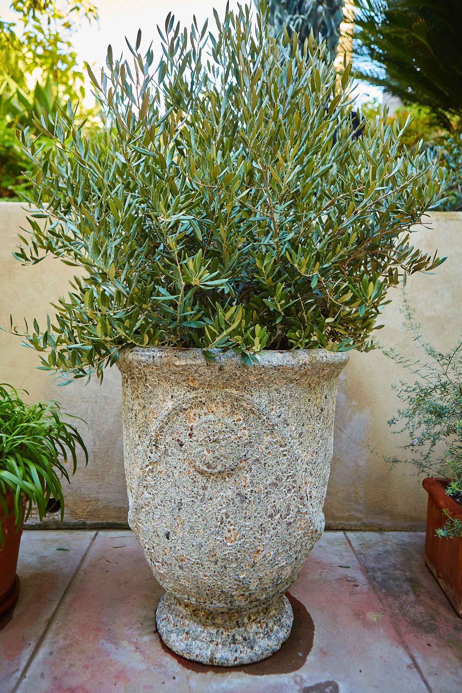 Untitled Job__S1_0633