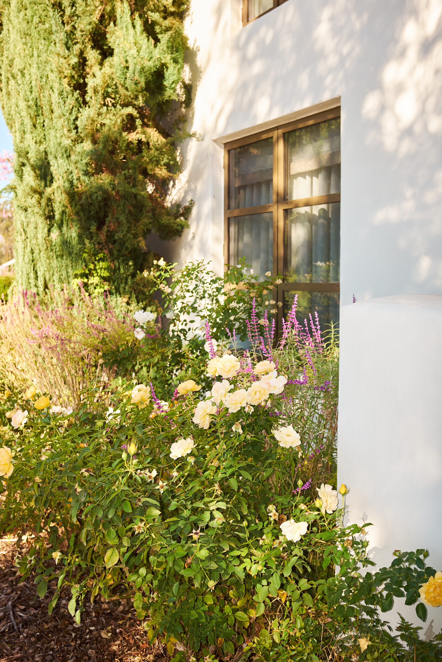 2078D558-3BD9-4AF3-8CEC-D44733E91AF5