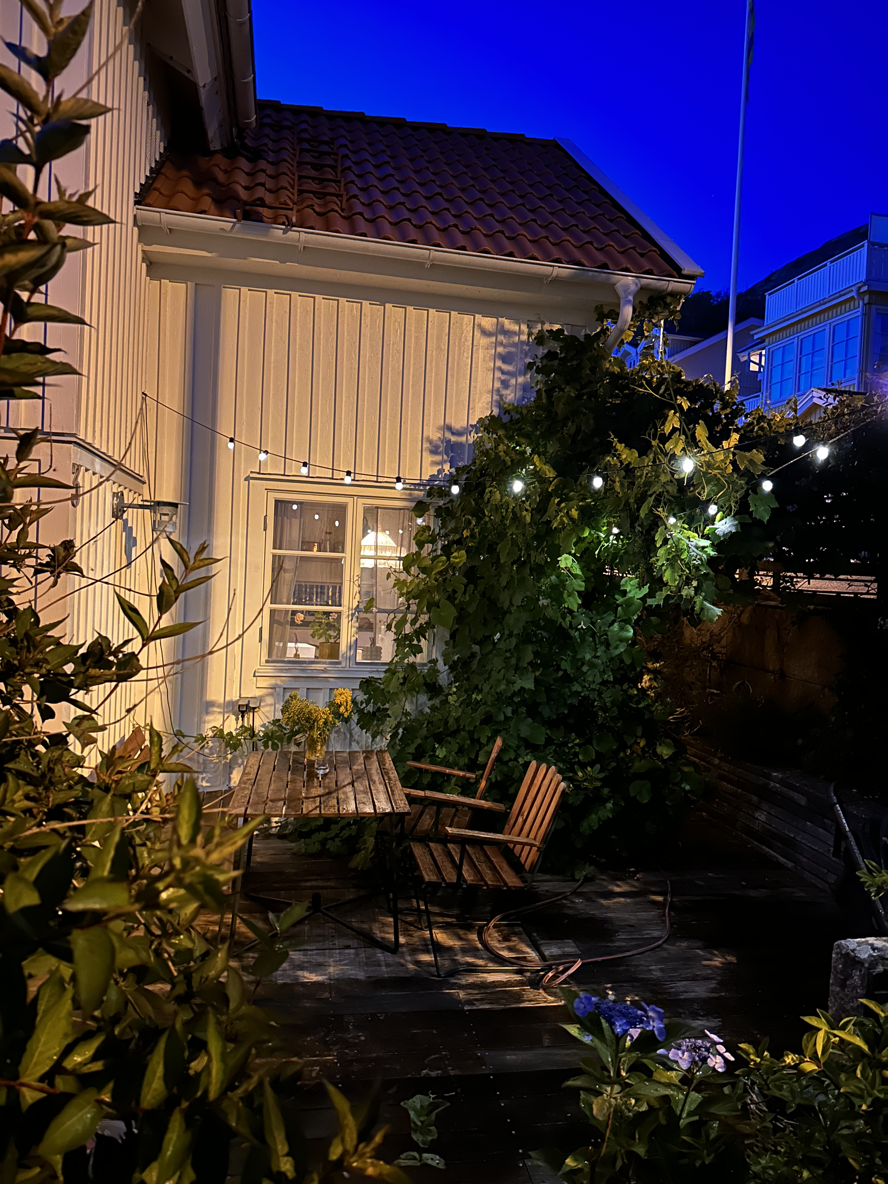 C003E803-2B6A-4563-BF74-E3A374FA249B