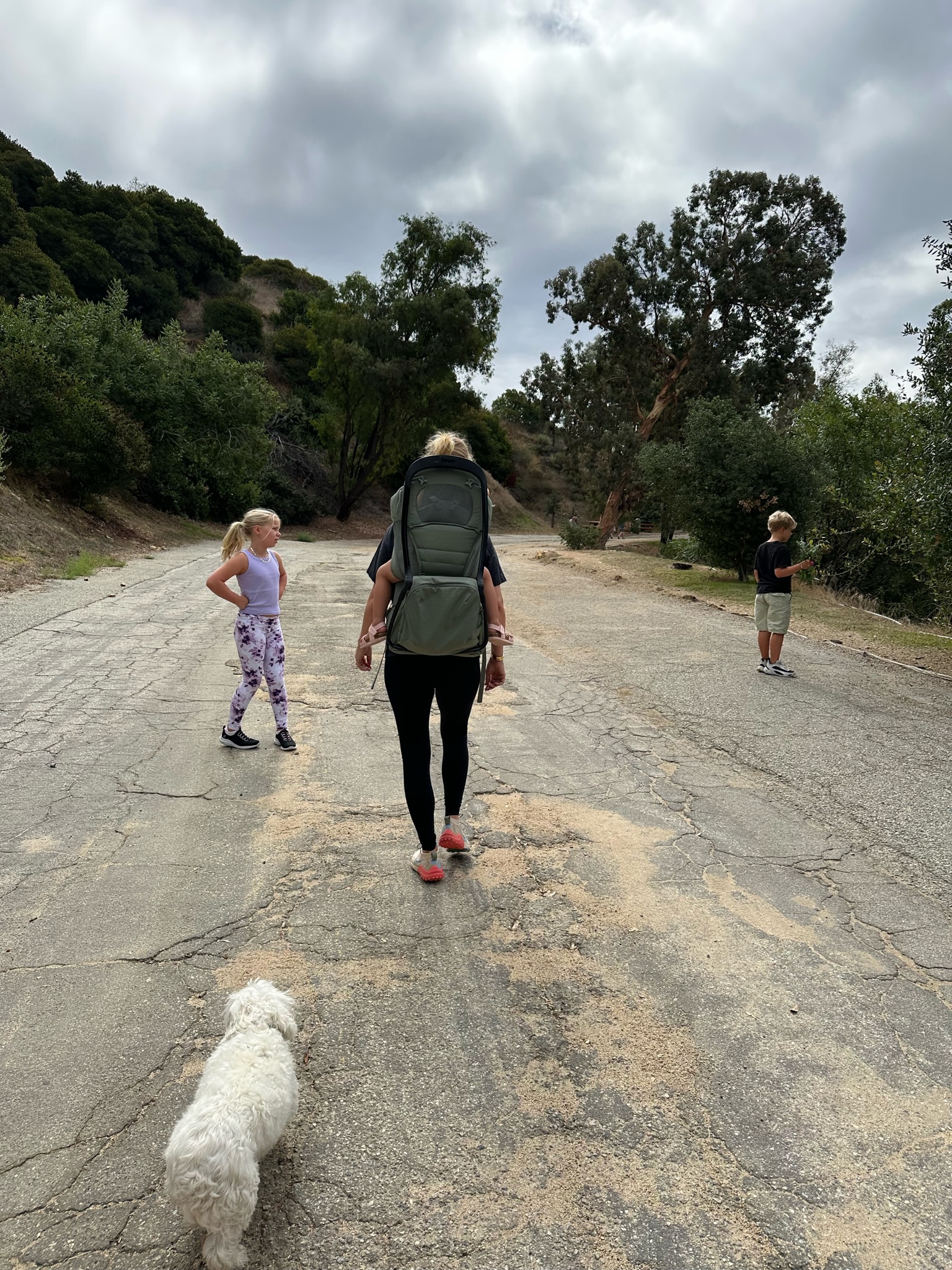 3A367B3C-7F1A-464E-9889-0F412365779A