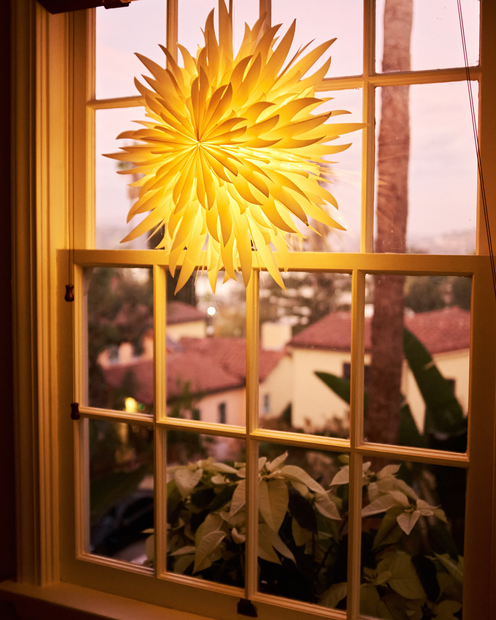 56D788AA-D2F0-4EE7-BCCF-0DD3FA1C29DD