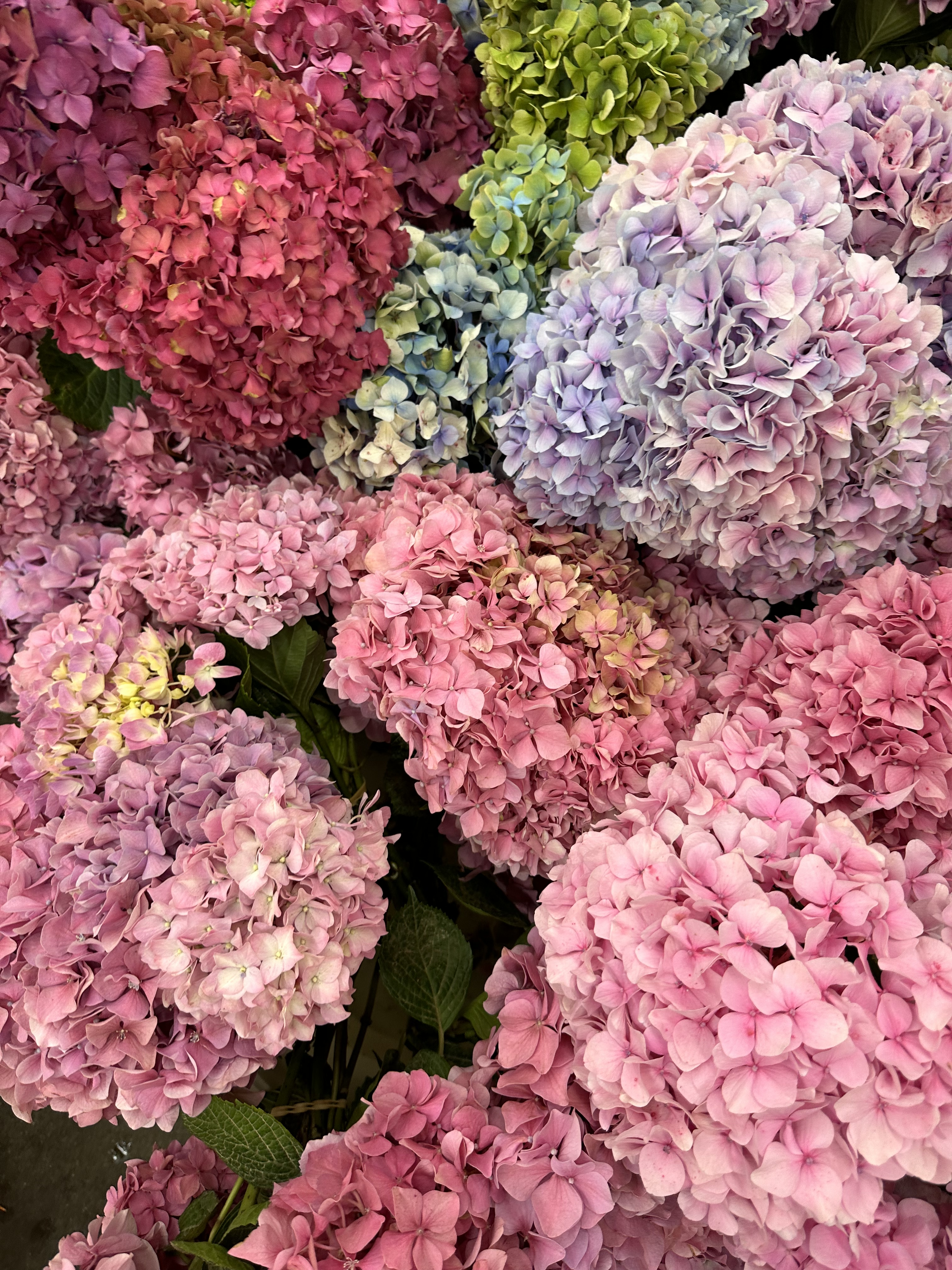 F92C0A3A-1AE3-432A-8CBC-C85BA4BC3528