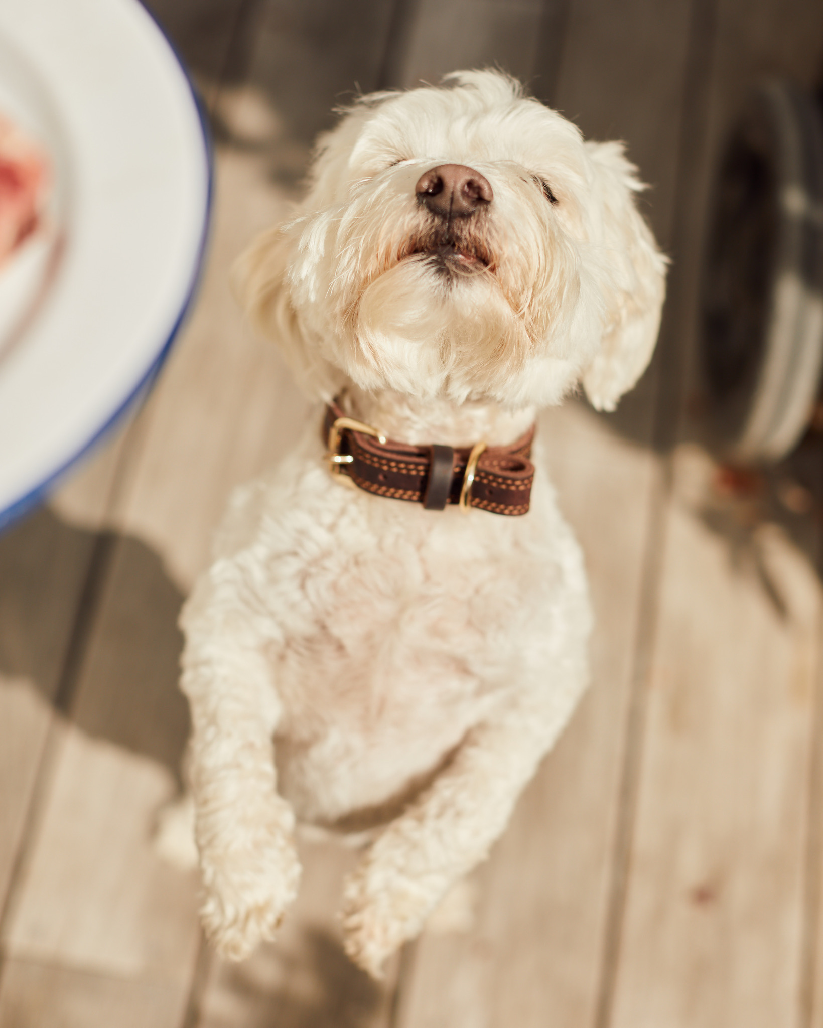 197F2922-6490-4102-B167-7C16F954A18B