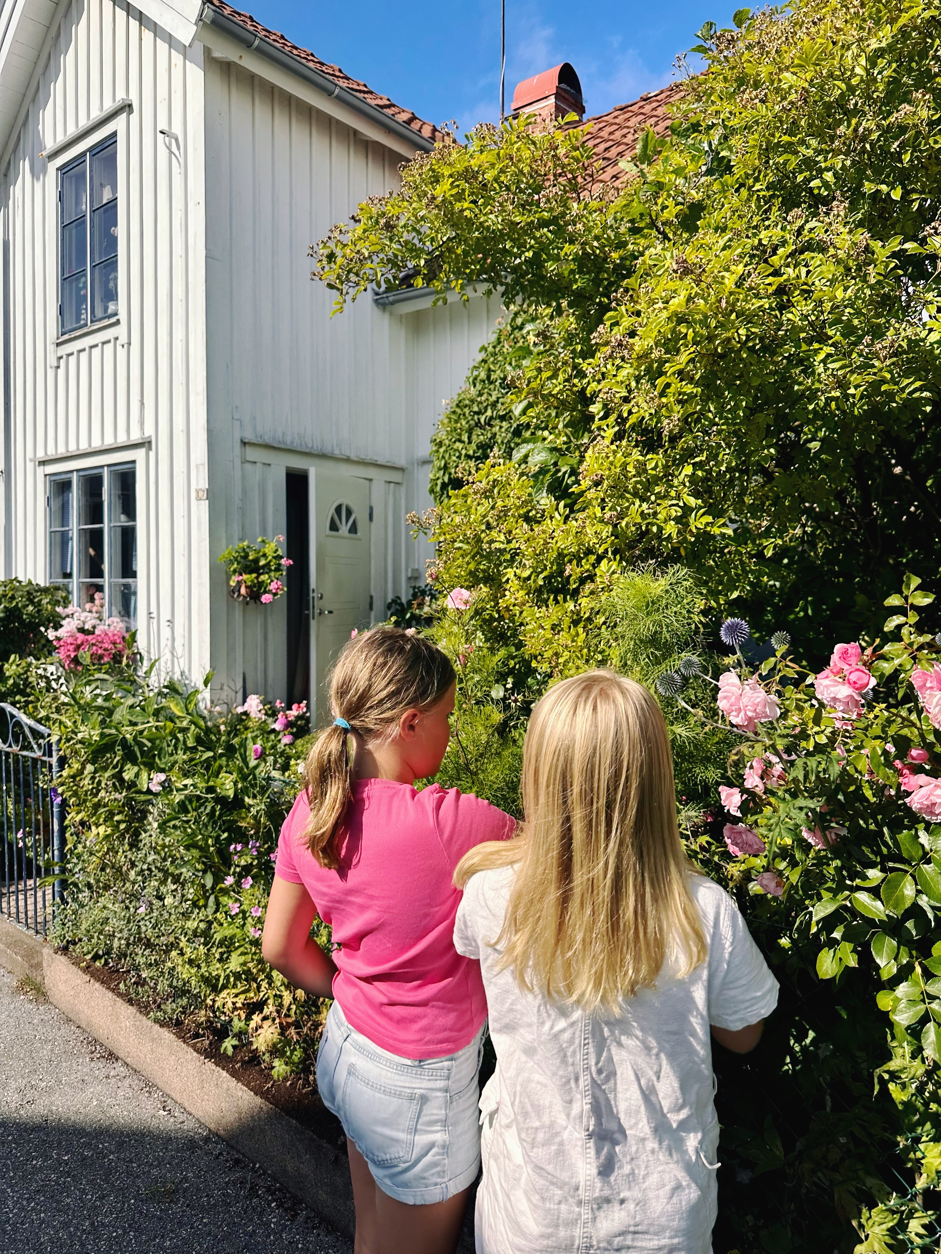 F809B5CD-C244-4FA9-BD23-2EB6FF5D1484