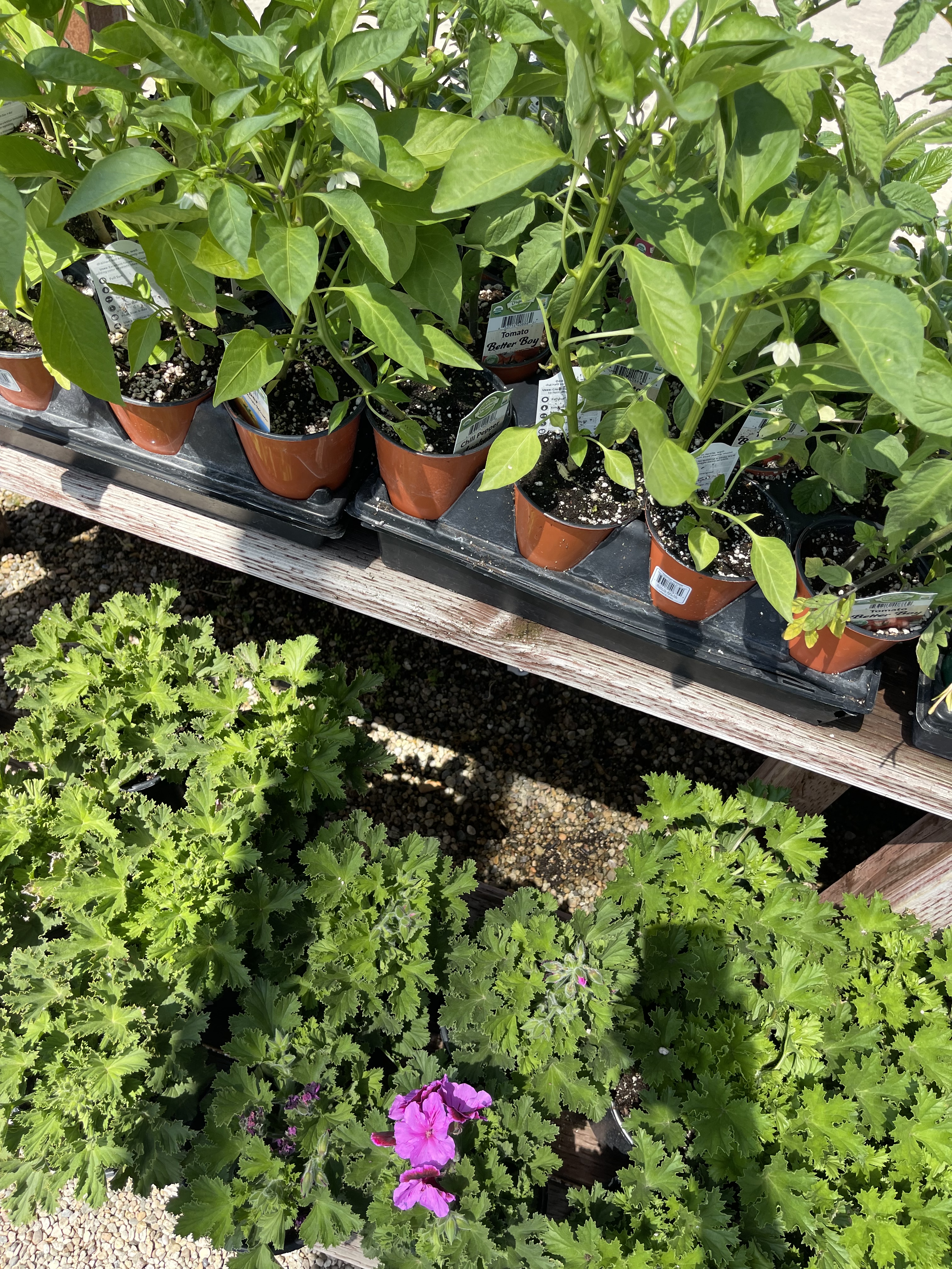 7BDD5914-FAA9-457C-8BC2-8008FCBF6ADD